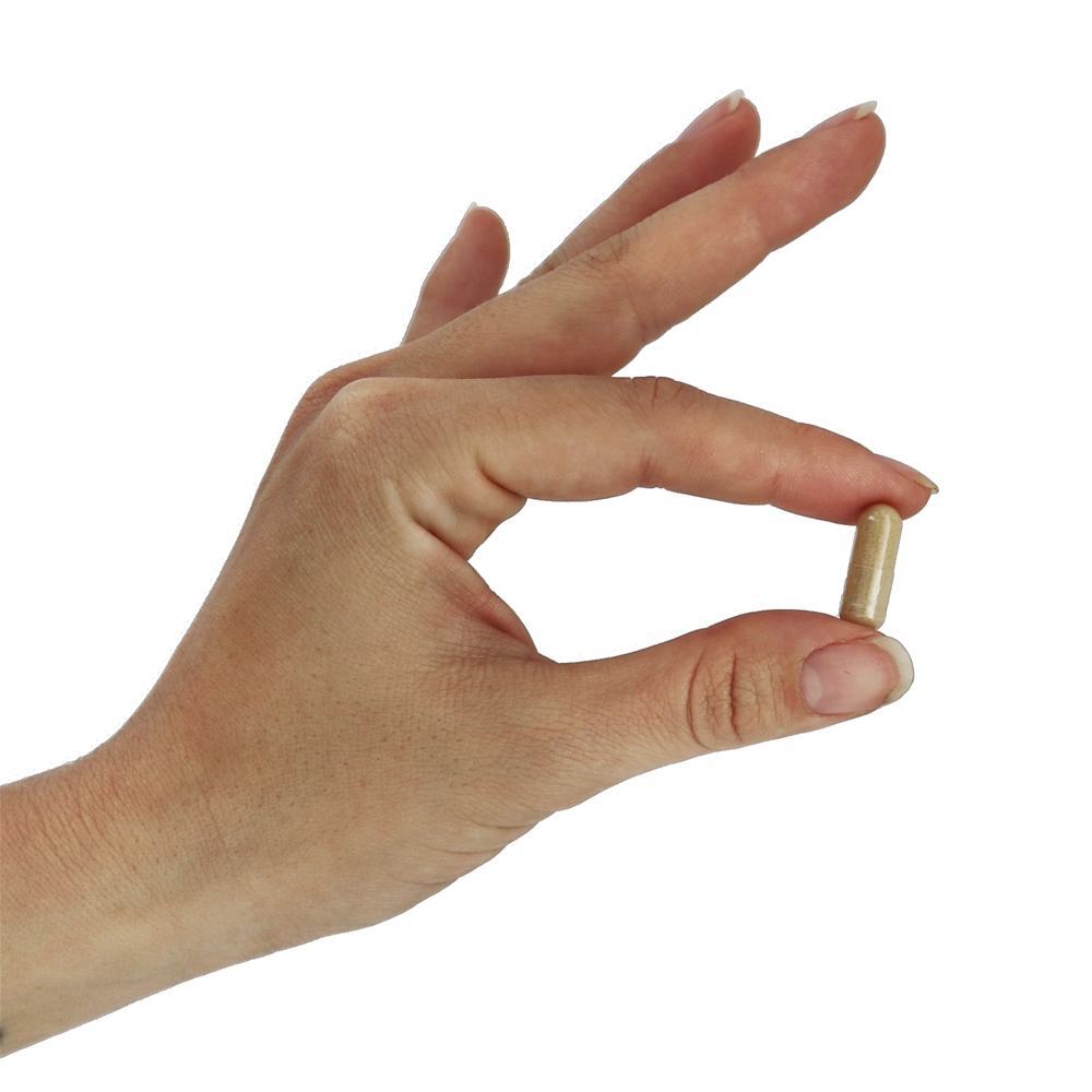 Depuradores Radicais Livres de Pycnogenol 30 mg. - 60 Cápsula (s) vegetal (s) NOW Foods - Imagem 5