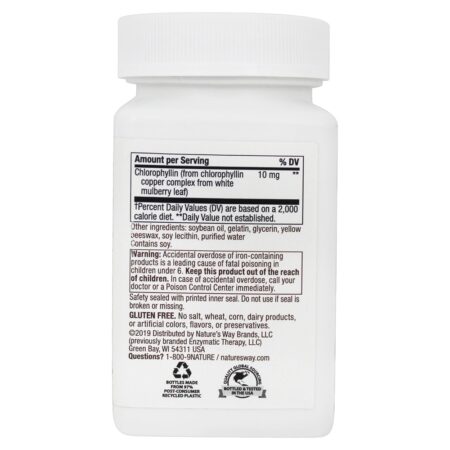 Ultimate Iron - 90 Softgels Nature's Way - Image 3