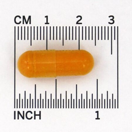 Curcumin-95 500 mg. - Cápsulas 60 Jarrow Formulas - Imagem 4