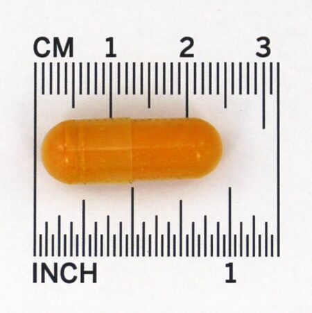 Curcumin-95 500 mg. - Cápsulas 60 Jarrow Formulas - Image 4