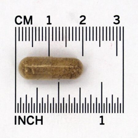 2-Pk Ginkgo Biloba 50 : 1 120 mg . - Cápsulas vegetarianas 240 Jarrow Formulas - Imagem 4