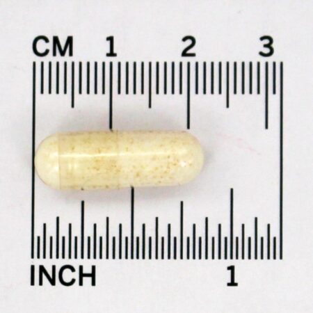 PS-100 100 mg. - Cápsulas 120 Jarrow Formulas - Imagem 4