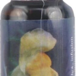 Essência Floral Snapdragon (Boca de Leão) - 7.4ml - Bem-Estar e Equilíbrio Emocional