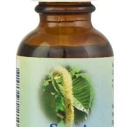 Essência Floral Sweet Chestnut - Gotas 30ml: Alívio Emocional Profundo e Bem-Estar Integral