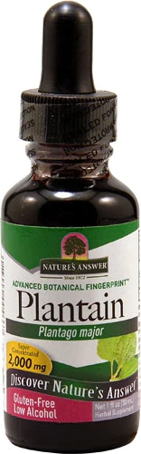 Nature's Answer Extrato de Planta de Lírio Branco (Plantago major) - 2000 mg (Aprox. 59 ml) - Bem-Estar Natural