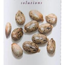 Óleo de Rícino NOW Solutions 100% Puro - 473ml para Cabelo e Pele