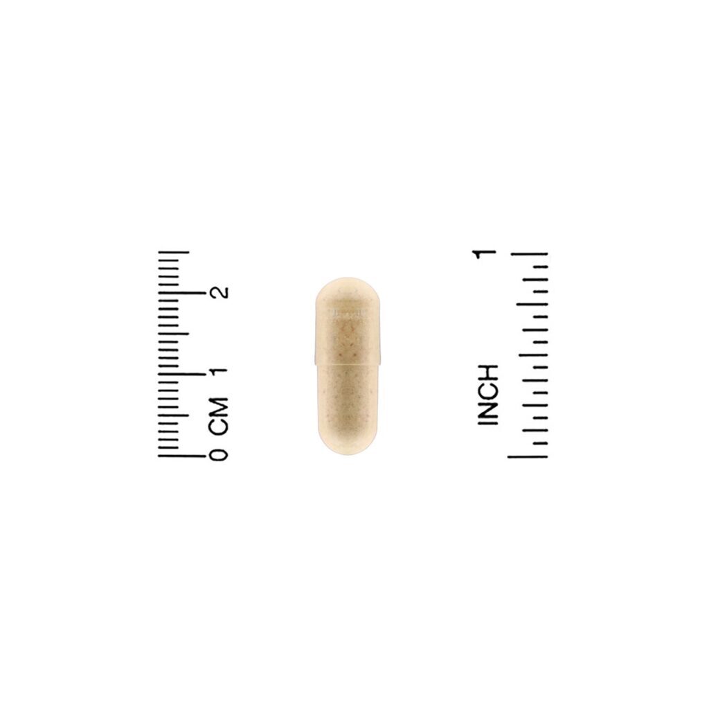 Sierra Fit, Keto Daily, Multivitamínico com Chá Verde, 90 Cápsulas Vegetais - Imagem 3