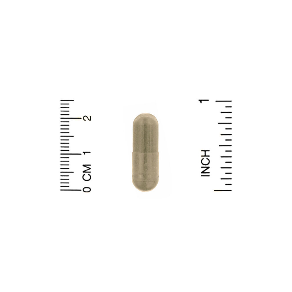Organic India, Liver Kidney, 90 Vegetarian Caps - Imagem 3