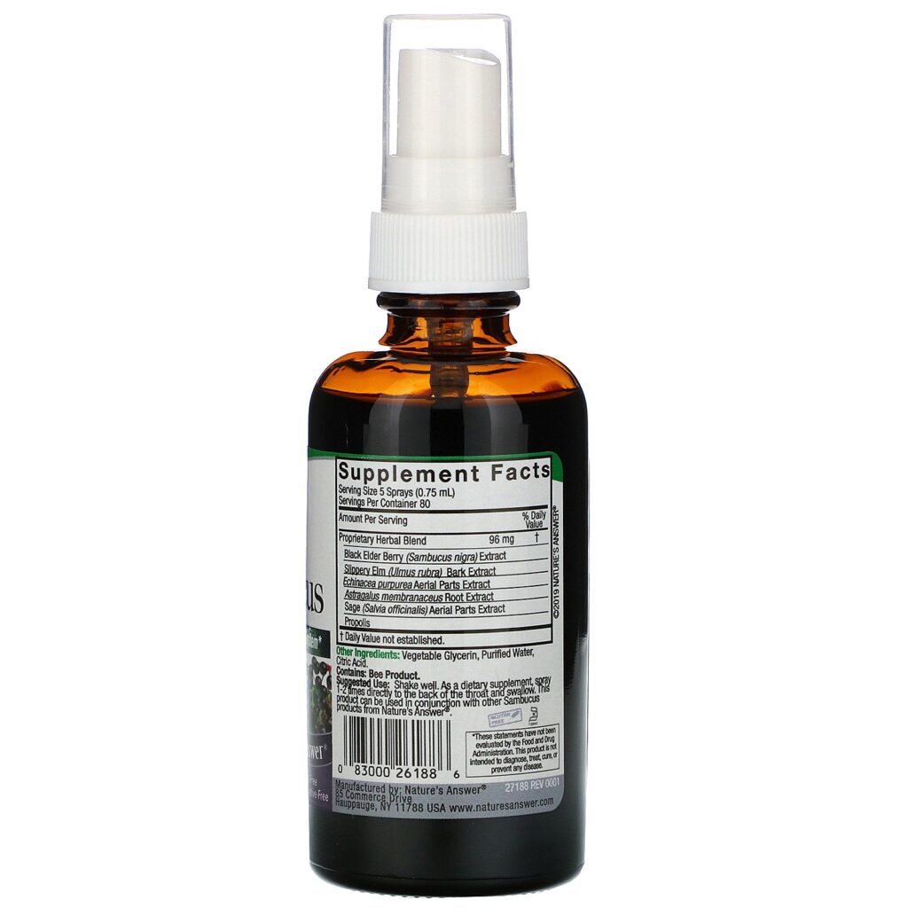 Nature's Answer, Sambucus, Black Elderberry Extract Spray, Alcohol-Free, 2 fl oz (60 ml) - Imagem 2