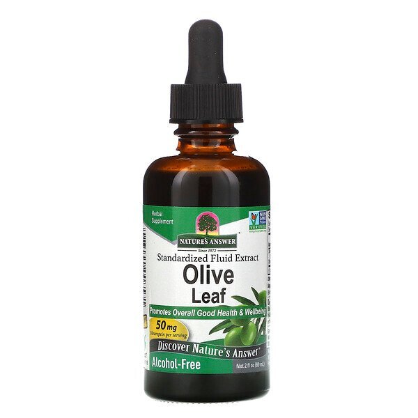 Nature's Answer, Olive Leaf, Alcohol-Free, 50 mg, 2 fl oz (60 ml)