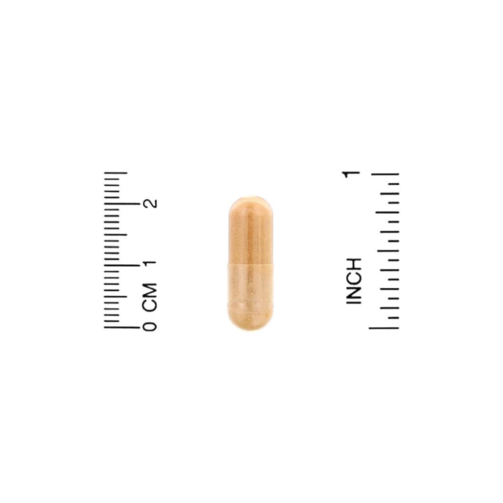 Lake Avenue Nutrition, Extrato de Cardo Mariano, 175 mg, 240 Cápsulas Vegetais - Imagem 3