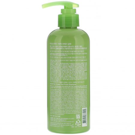 Innisfree, Green Tea Fresh, Shampoo, 10.14 fl oz (300 ml) - Image 2