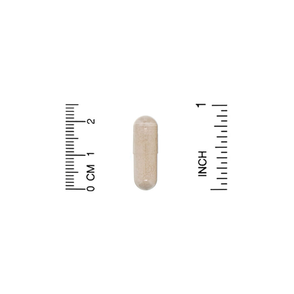 Lake Avenue Nutrition, Saccharomyces boulardii, Fermento Probiótico, 10 Bilhões de UFCs, 180 Cápsulas Vegetais - Imagem 3