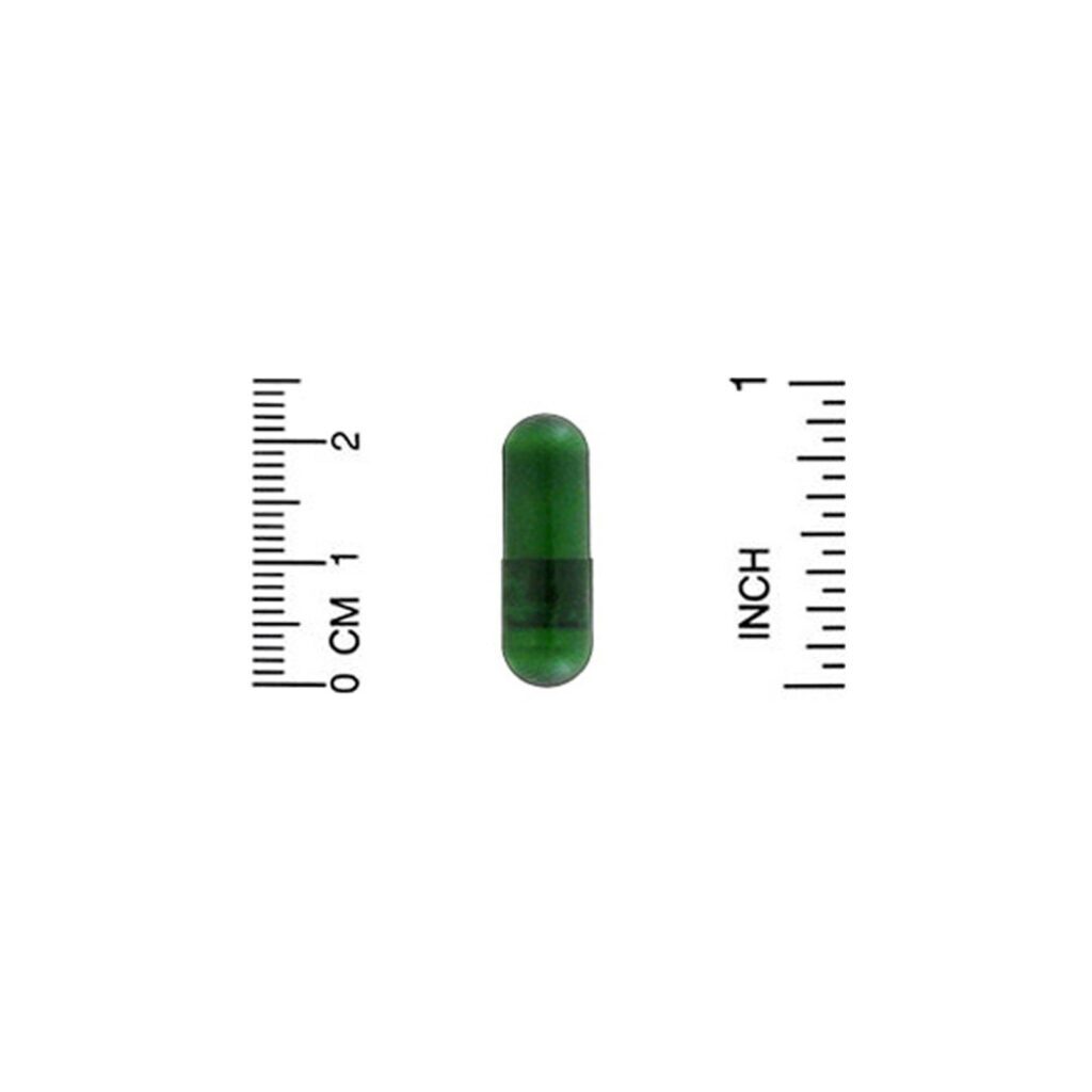 California Gold Nutrition, Extrato de Ginkgo biloba, EuroHerbs, Qualidade Europeia, 120 mg, 60 Cápsulas Vegetais - Imagem 3