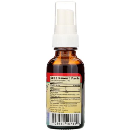 Herbs for Kids, Super Kids Throat Spray, Hortelã-Pimenta, 30 ml (1 fl oz) - Image 2