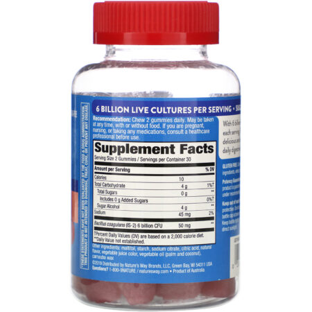 Nature's Way, Fortify Gummy Probiotic, Sugar-Free, Berry Flavored, 6 Billion, 60 Gummies - Image 2