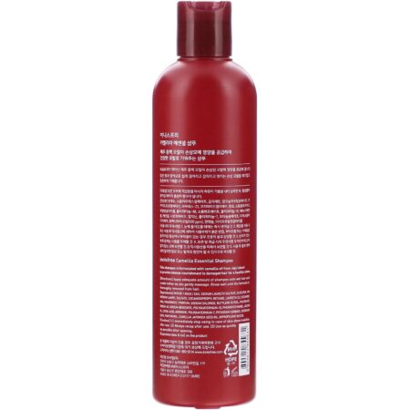 Innisfree, Camellia Essential Shampoo, 10.14 fl oz (300 ml) - Image 2