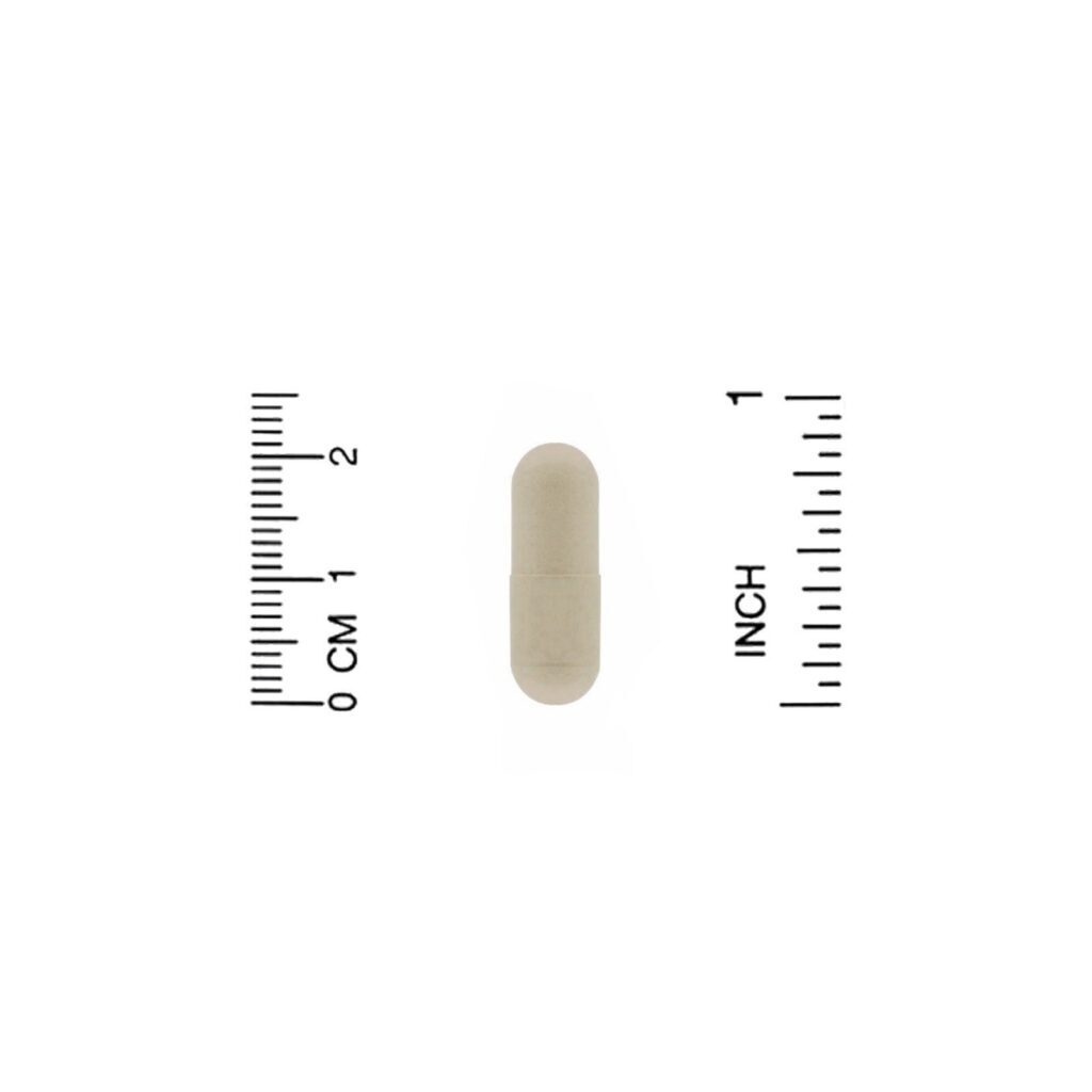 Nature's Way, Kelp, 600 mg, 180 Cápsulas Vegetais - Imagem 3