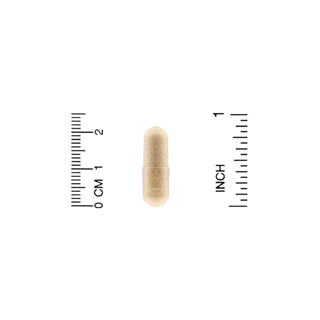 California Gold Nutrition, Complexo de Silimarina, Saúde Hepática, Cardo-mariano, Curcumina, Alcachofra, Dente-de-leão, Gengibre, Pimenta-do-reino, 360 Cápsulas Vegetais - Imagem 3