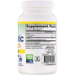 Garden of Life, Sport, Barra de Proteína Vegetal Orgânica de Alta Performance, Chocolate e Menta, 12 Barras, 70 g Cada