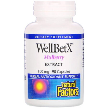 Natural Factors, WellBetX, Extrato de amora, 100 mg, 90 cápsulas