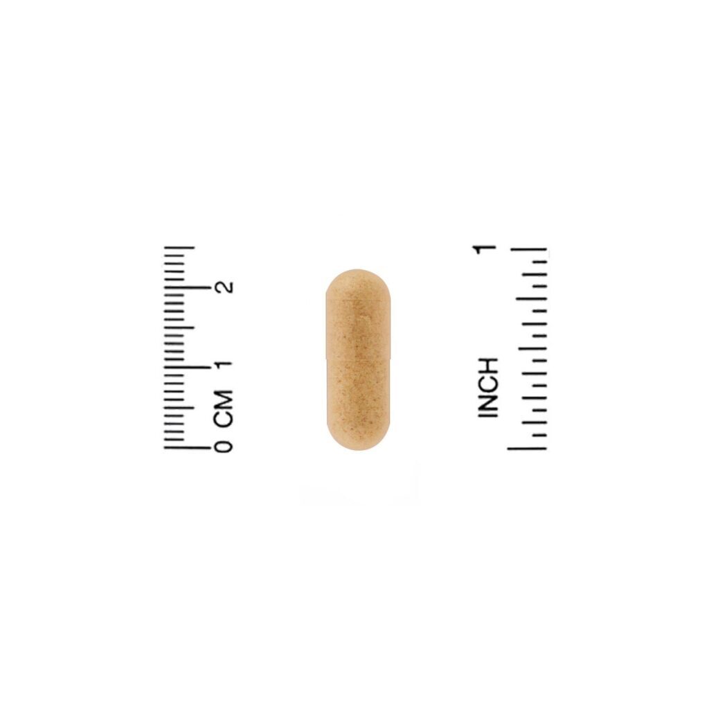 California Gold Nutrition, Enzimas Proteolíticas, Espectro Amplo, 90 Cápsulas Vegetais de Liberação Retardada - Imagem 3