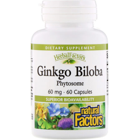 Natural Factors, Ginkgo Biloba, Phytosome, 60 mg, 60 cápsulas