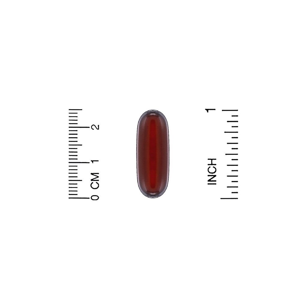 California Gold Nutrition, Óleo de Krill Premium SUPERBABoost®, 1.000 mg, 60 Cápsulas Softgel - Imagem 3