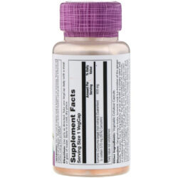 Solaray, One Daily, Turmeric Root Extract, 600 mg, 60 VegCaps