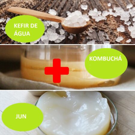 Combo – Kefir de Água + Kombucha + JUN – com Frete Grátis