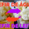 Combo – KEFIR DE LEITE + KEFIR DE ÁGUA – com Frete Grátis