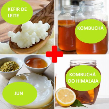 Combo – Kefir de Leite + Kombucha + JUN + Kombucha do Himalaia – com Frete Grátis