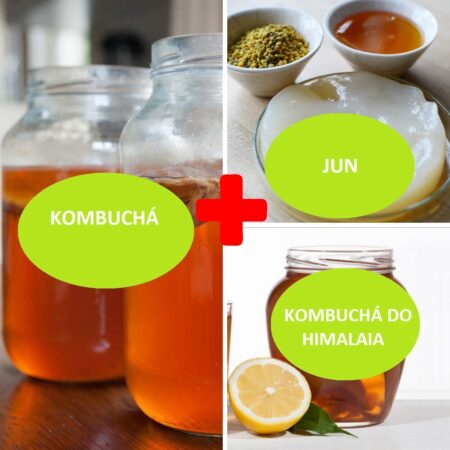 Combo – Kombucha + JUN + Kombucha do Himalaia – com Frete Grátis