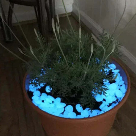Pedras Mágicas para Jardim - Magic Stone - Imagem 4