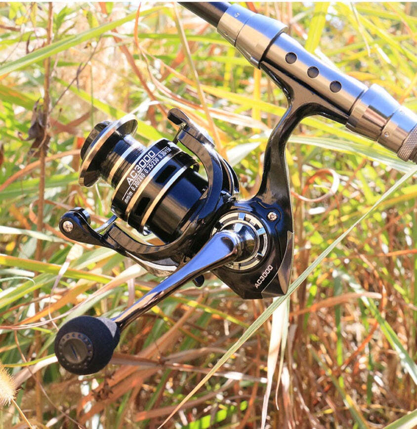 Molinete Shimano De Pesca 5.2:1 Freio Magnético - Imagem 9
