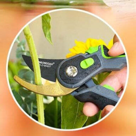 Tesoura Profissional para Poda Jardinagem - Imagem 17