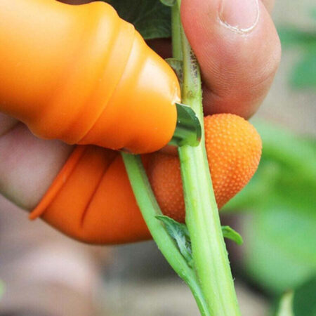 Mini Faca de Dedo Cozinha e Jardinagem - Imagem 2
