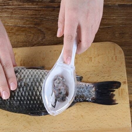 Removedor de Escamas de Peixe - Imagem 2