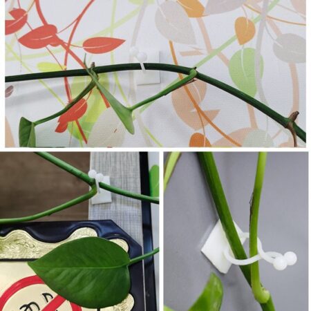 Wall Plant - suporte para plantas de parede - Imagem 3