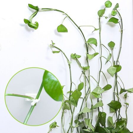 Wall Plant - suporte para plantas de parede - Imagem 4