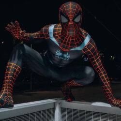 Fantasia Homem-Aranha Traje Guerra Secreta Adulto Cosplay Luxo Profissional
