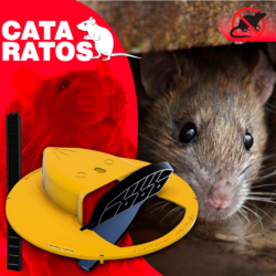Armadilha de Rato Reutilizável - CataRatos