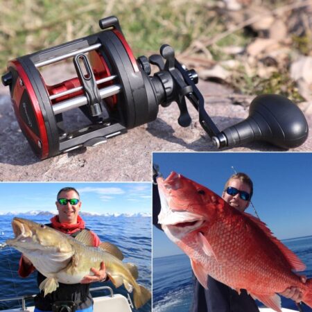 Carretilha de Pesca Perfil Alto - 25kg Max Drag 3+1 Rolamentos | Sougayilang - Imagem 3