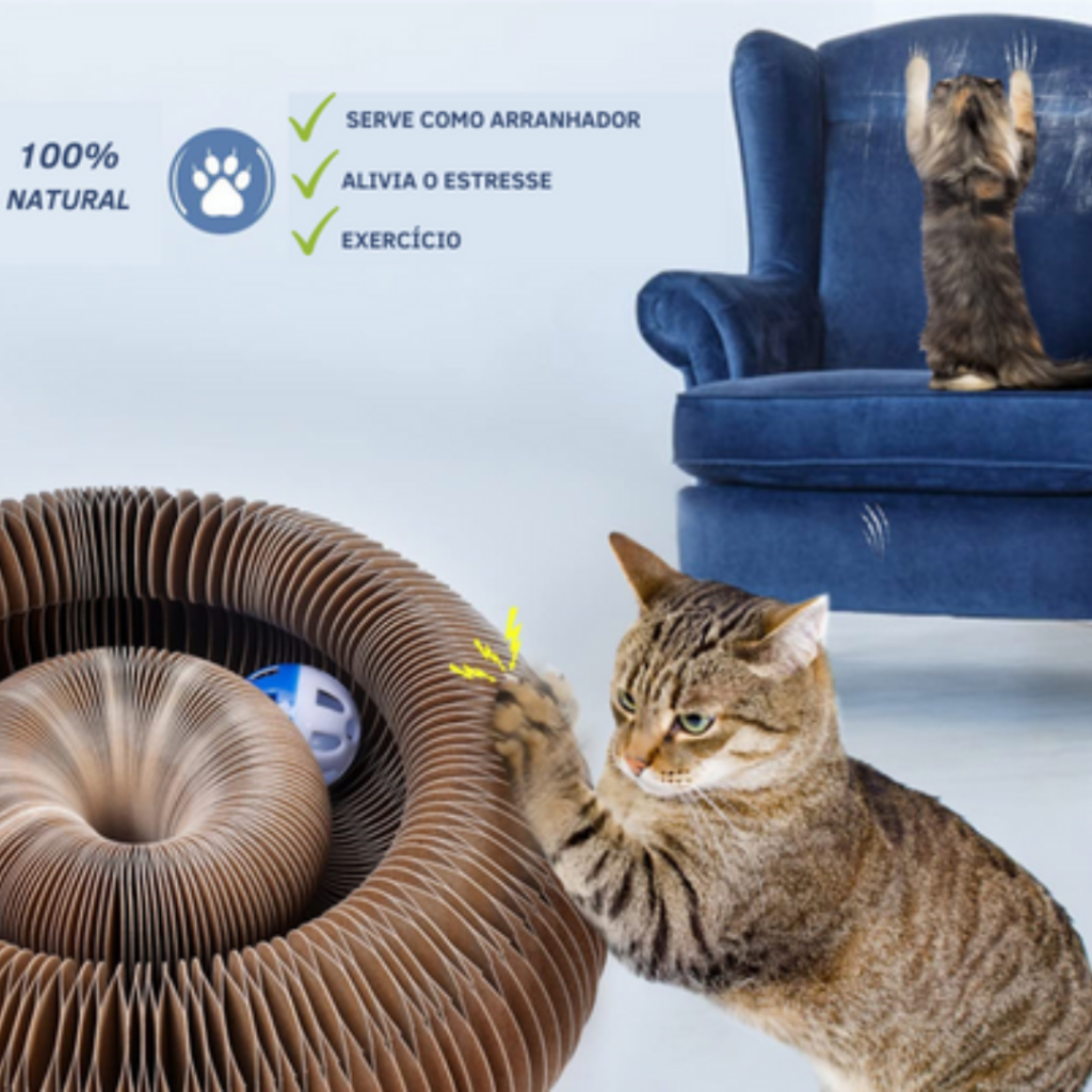 Brinquedo Interativo Para Gatos I Cat Joy +1 Bolinha de Brinde - Imagem 4