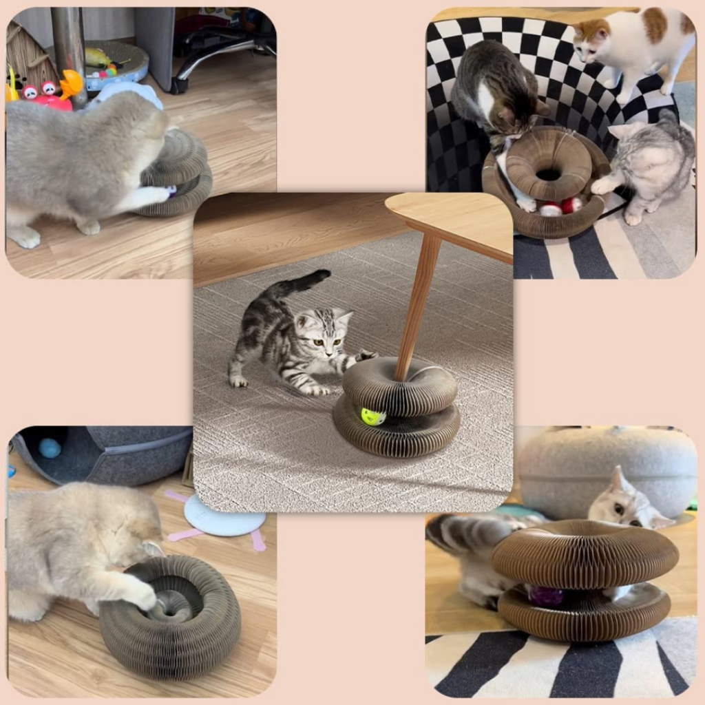 Brinquedo Interativo Para Gatos I Cat Joy +1 Bolinha de Brinde - Imagem 5