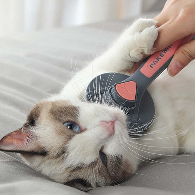 Escova Removedora de Pelos para Cachorro e Gato - Imagem 3