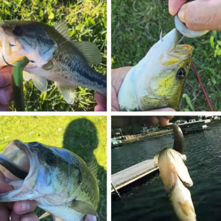 Kit Iscas Artificiais Realistas Para Pesca | Compre 6 Leve 10 - Imagem 3