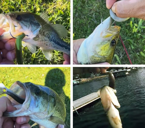 Kit Iscas Artificiais Realistas Para Pesca | Compre 6 Leve 10 - Imagem 3
