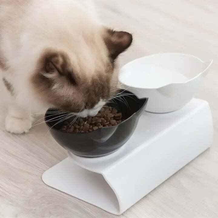 Tigela Ortopédica Anti-Refluxo para Gatos - Imagem 2