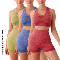 Conjunto Esportivo Feminino Top e Short sem Costura Fnac